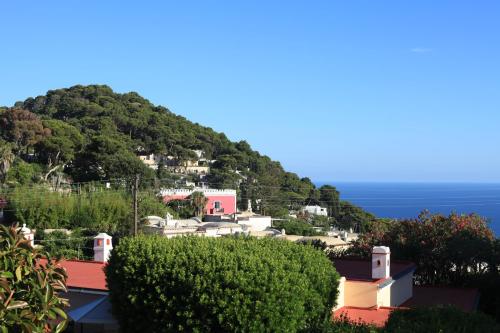 un village sur une colline avec l'océan en arrière-plan dans l'établissement Hotel Villa Sarah, à Capri