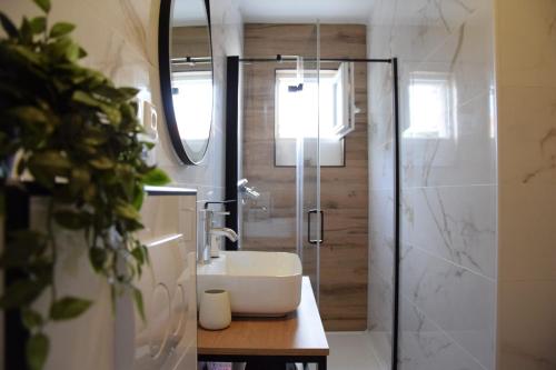 a bathroom with a sink and a shower stall at Apartment Bepo in Pakoštane