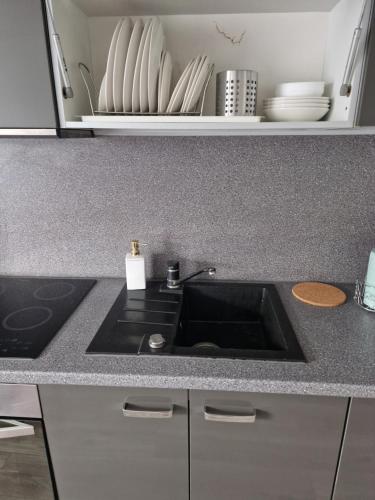 a kitchen counter with a sink and plates on a shelf at VYTAUTO 3 apartment in Ukmergė