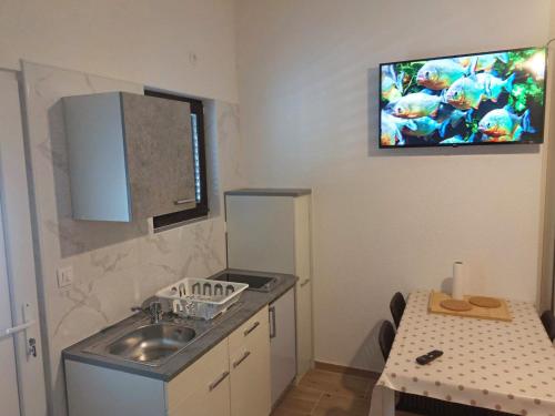 a kitchen with a sink and a tv on the wall at Guest House Keskic in Karlobag