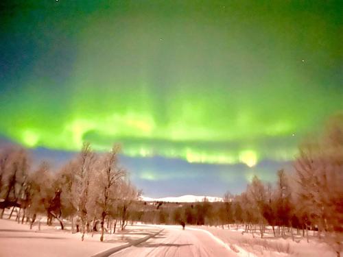 an aurora in the sky over a snowy road at Klimpfjällsgården Hotel & Restaurant in Klimpfjäll