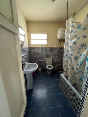 a bathroom with a sink and a toilet and a shower at شقة في المعادي للاجار Maadi Apartement for rent in Cairo