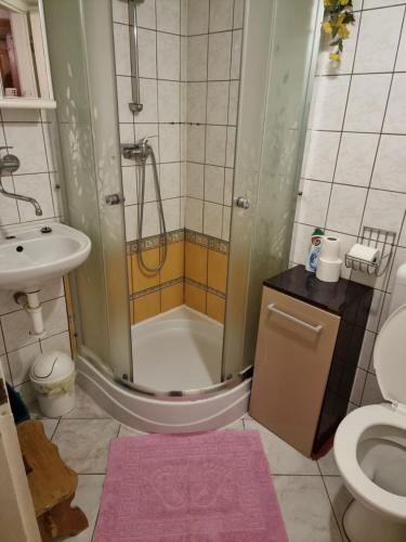 a bathroom with a shower and a toilet and a sink at Mlýn u skály in Deštné v Orlických horách