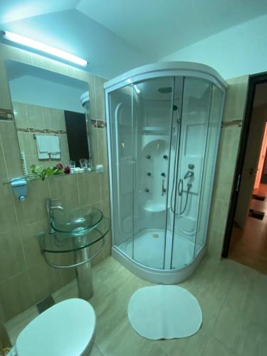 a bathroom with a glass shower and a sink at Pensiunea Cassandra in Neagra Şarului