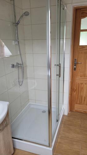 a bathroom with a shower with a glass door at Ryby i grzyby in Unichowo