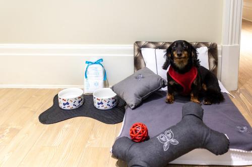 a dog sitting on a chair next to some pillows at Palácio Tangará, Oetker Hotels in Sao Paulo