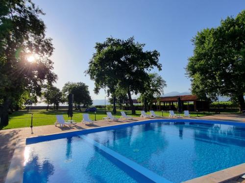 a swimming pool with white lounge chairs at Château Davitiani in Shilda
