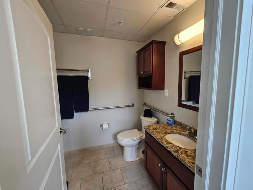 a bathroom with a toilet and a sink at Gorgeous and Spacious Studio at the Historic Inman - 200 in Champaign