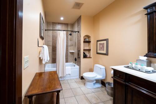 a bathroom with a toilet and a shower and a sink at Hotel Granduca Houston in Houston