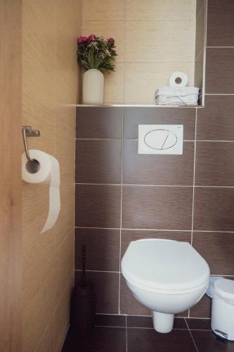 a bathroom with a toilet and a toilet paper dispenser at Na Kopečku apartmány in Cerny Dul