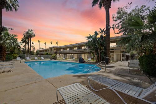 a resort swimming pool with lounge chairs and palm trees at Sol Springs Inn in Palm Springs