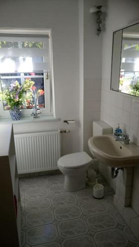a bathroom with a toilet and a sink and a window at Urlaub in Engelswacht in Sundhagen-Niederhof