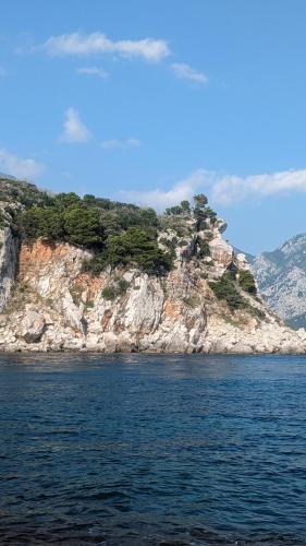 a rocky island in the water with trees on it at Private guest-house Gutic in Sutomore