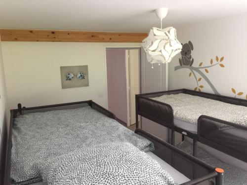 a bedroom with two beds and a chandelier at Maison familiale vue lac avec jardin - à 10mn du lac et stations de ski in Publier