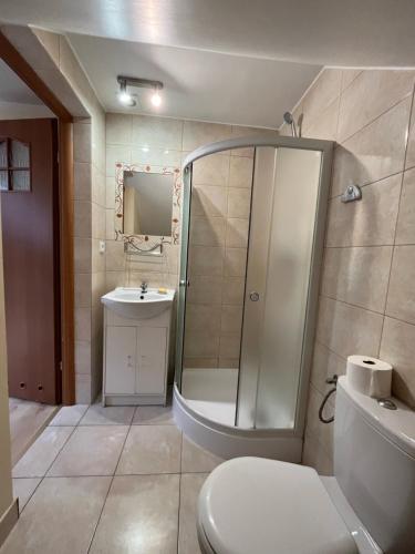 a bathroom with a shower and a toilet and a sink at Pokoje ZIELONY ZAKĄTEK in Borki