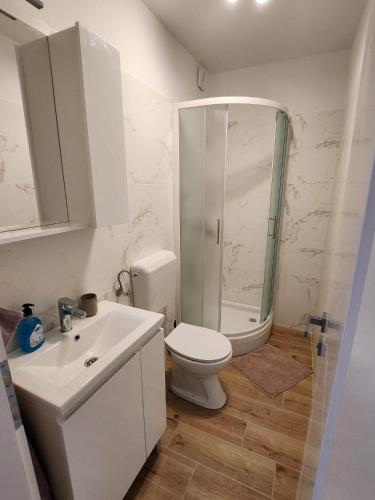 uma casa de banho com um chuveiro, um WC e um lavatório. em Studio Anka em Pakoštane