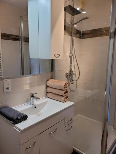 a bathroom with a sink and a shower at Haus 140 qm für Monteure in Bad Salzschlirf