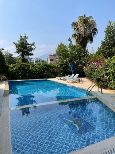 a blue swimming pool with two chairs and trees at SA Apartments! Family 2BD Flat 150m to the Beach in Alanya