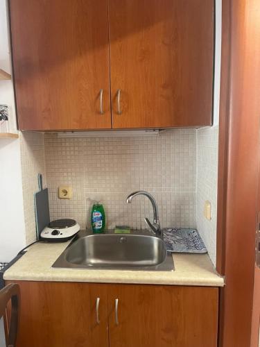 Η κουζίνα ή μικρή κουζίνα στο 4lions Studio check -in after 16:00