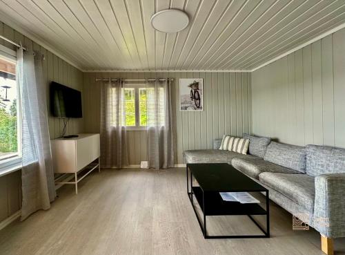 sala de estar con sofá y TV en Close to nature cabin, sauna, Øyeren view, Oslo vicinity en Hektner