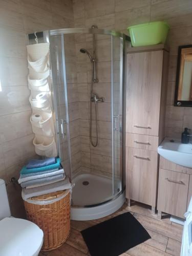 a bathroom with a shower and a toilet and a sink at Kajetanówka in Jackowo