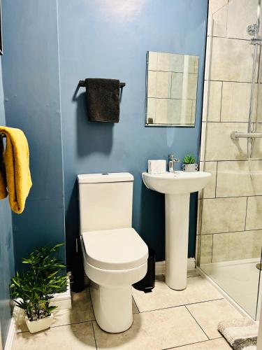 a bathroom with a white toilet and a sink at Sunset House On The Beach in Maryport