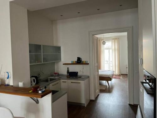 a kitchen with a sink and a counter top at Mama's apartment in Letna in Prague