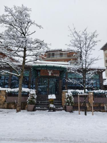 a building covered in snow with two trees at La petite rose in Limone Piemonte