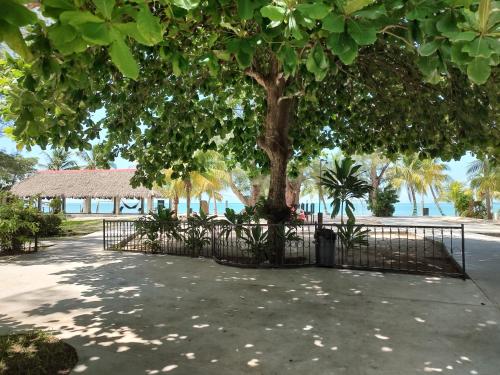 a fence around a tree with a tree at Freedom Shores "La Gringa" Hotel - Universally Designed in Isla Aguada