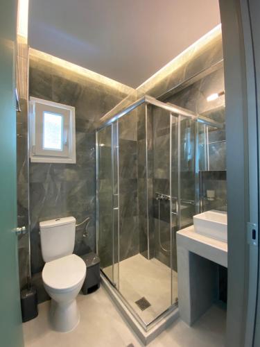 a bathroom with a toilet and a shower at INTERNI LUXURY LIVING in Nikiti