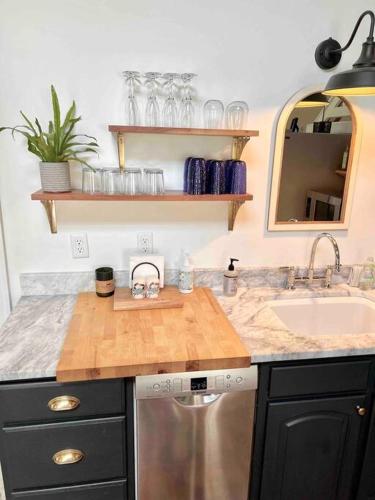 a kitchen with a sink and a counter top at Liz Lane Cottage- entire guesthouse in Charleston
