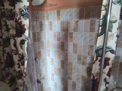 y baño con ducha con cortina de azulejos. en palms en Jerningham Junction