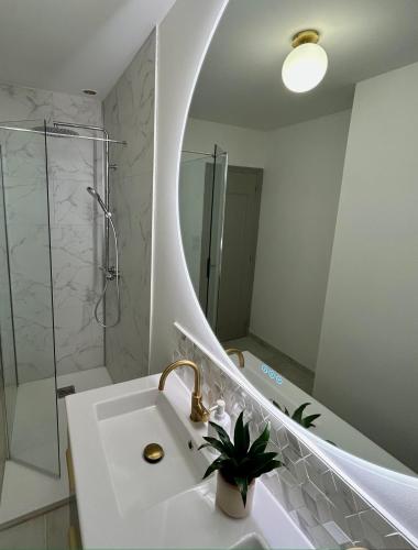 une salle de bain avec un lavabo, une douche et un miroir dans l'établissement Maison de caractère au coeur du Castelviel à Albi, à Albi