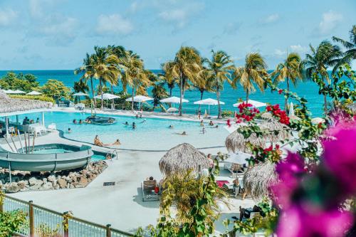 basen z palmami i oceanem w obiekcie Joli Studio Kaz’Coco vue mer w mieście Le Diamant