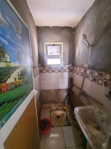 uma casa de banho com lavatório e um cão deitado no chão em المرج الشرقيه ش احمد ابو طالب no Cairo