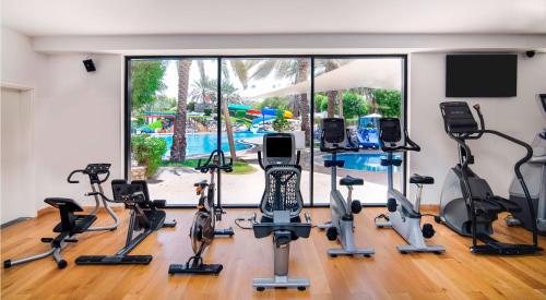 Γυμναστήριο ή/και όργανα γυμναστικής στο Radisson Blu Hotel & Resort, Al Ain