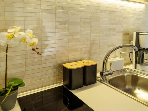 a kitchen counter with a sink and a plant at Bond Apartment - Astria Olimp in Olimp