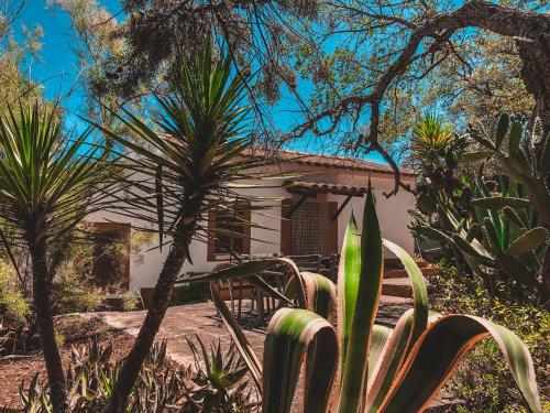 a house in the middle of a garden with plants at Casa dos Anoes in São Luis