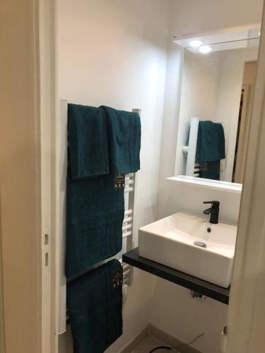 La salle de bains est pourvue d'un lavabo, d'un miroir et de serviettes. dans l'établissement Studio confortable près de paris, à Villejuif