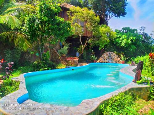 a swimming pool in a garden with a house in the background at Sanctuaria Treehouses Busuanga in Busuanga