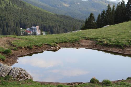 a small pond in a field with a mountain at Hotel Pestera Wellness & Spa in Sinaia