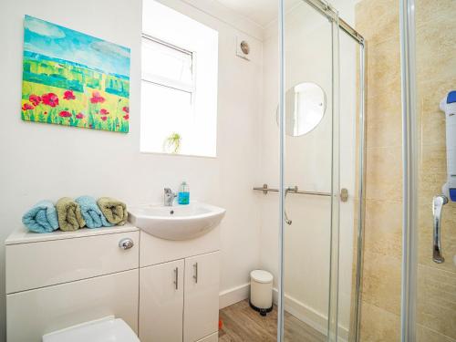 a bathroom with a sink and a shower at High Meadow in Whitestone