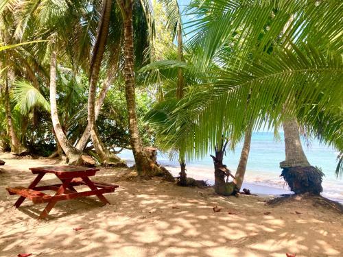 a picnic table on a beach with palm trees at Drago Beach House - Private Beach in Boca del Drago