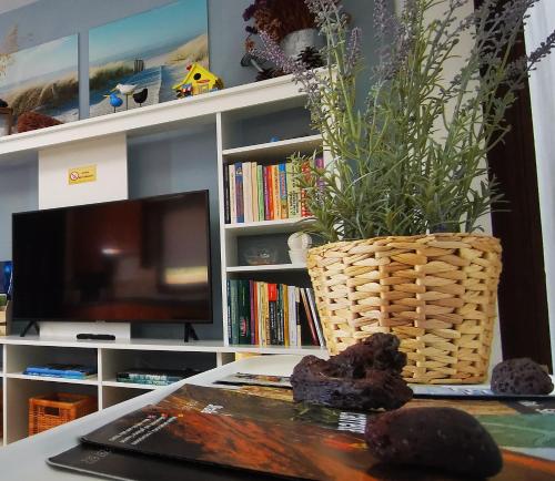 TV a/nebo společenská místnost v ubytování Salitre