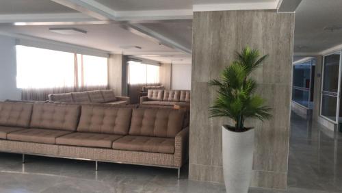a living room with a couch and a palm tree at SPAZZIO DI ROMA INCLUSO ACQUA PARK SPLASH in Caldas Novas