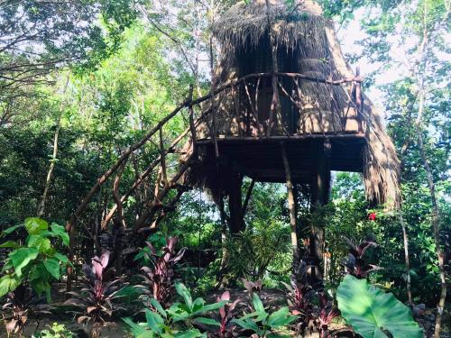 Zahrada ubytování Sanctuaria Treehouses Busuanga