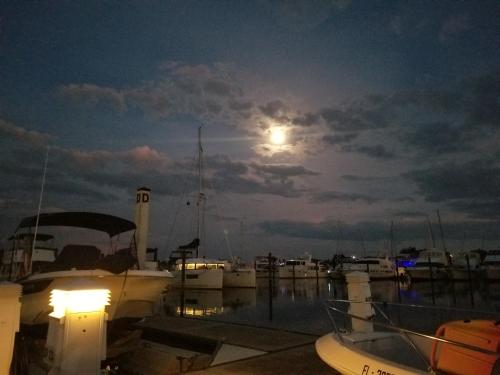 Φυσικό τοπίο κοντά σε αυτό το διαμέρισμα