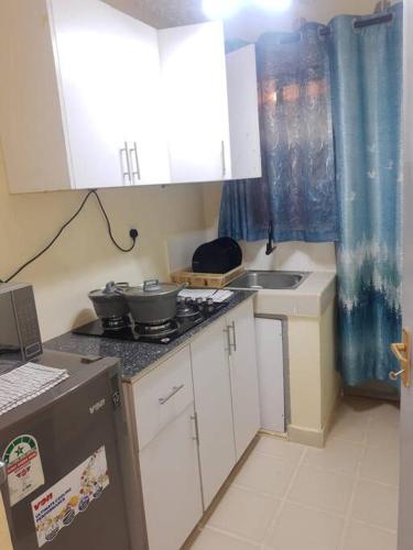 a small kitchen with a stove and a sink at Apartment next to Cravers, Thika in Thika