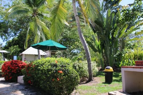 a garden with palm trees and a green umbrella at Family 2bd apt near Quepos/Manuel Antonio in Quepos