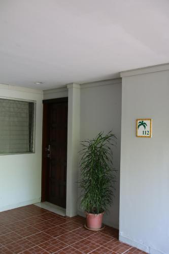 a hallway with a door and a potted plant at Family 2bd apt near Quepos/Manuel Antonio in Quepos